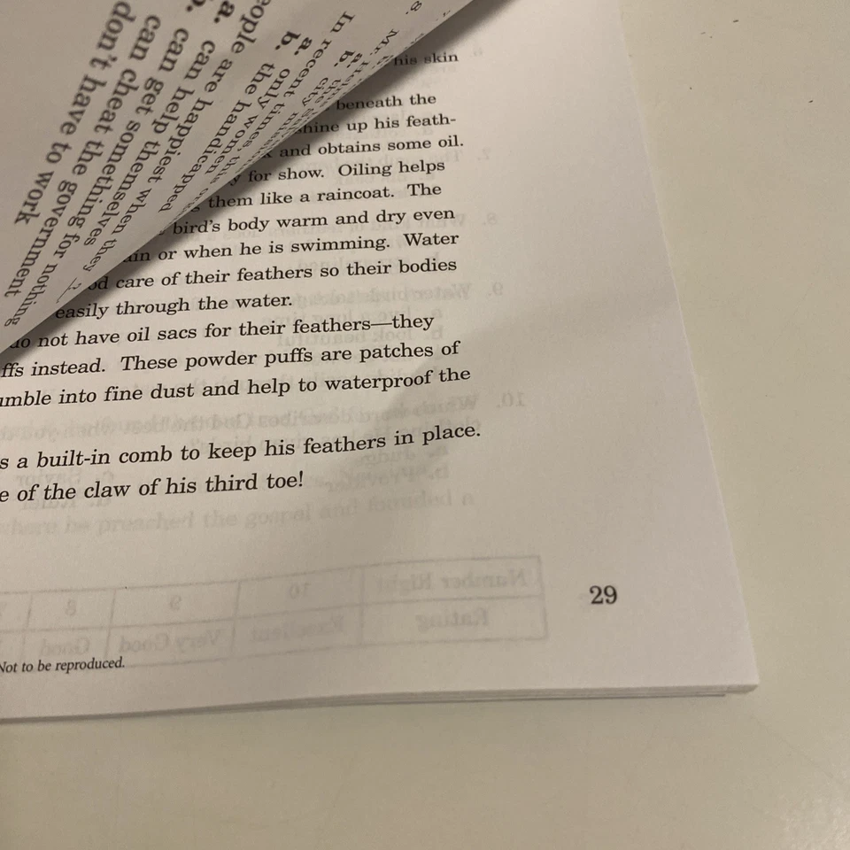 Read And Think Skill Sheets Book 4 A Beka Book Clean Pages. - Image 4 of 4