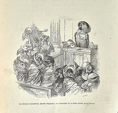 Alte Holzstich-Grafik, J.J. Grandville 1842, Orig-Druck, Papagei & Vogel-Gruppe