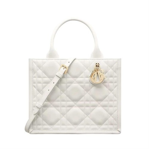 Dior Book Tote Small Bag M1325OWHPM030 153848944