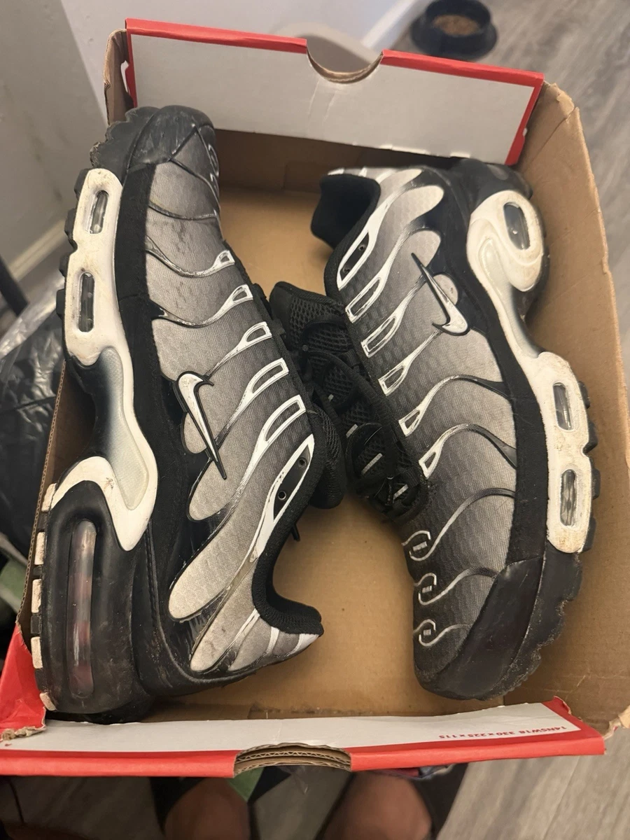 Las mejores ofertas en Nike Air Max Plus Black/Metallic Silver
