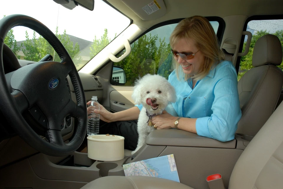 To Go Bowl en AZUL - cabe en el portavasos de tu coche - ¡Envío gratuito! Foto 4 de 4