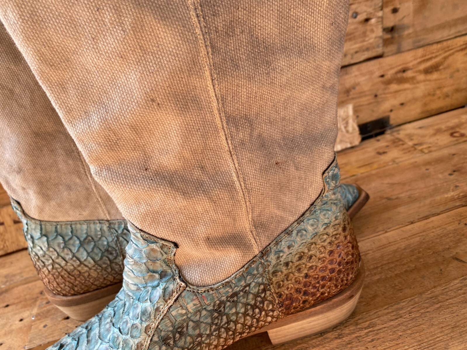 Roberto cavali western cowboys python  exotic, sn… - image 14