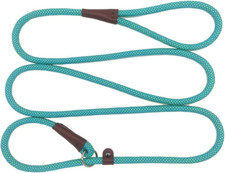 BTINESFUL 7FT Slip Lead Dog Leash, Strong Nylon Rope 1/4"  7 FT, Green Dot
