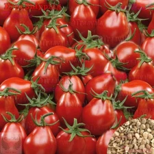 Red Pear Tomato Seeds | Vegetable Seeds