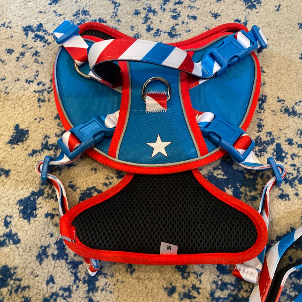 Dog Harness And Leash Set With Bonus Frisbee Toy!!! Brand New Must See!!! Size M Dog Harness And Leash Set With Bonus Frisbee Toy!!! Brand New Must See!!! Size M