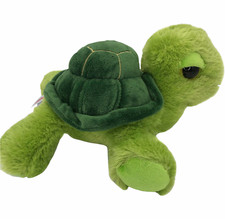 Green Turtle Plush Big Eyes Tricks Aurora Dreamy Eyes Stuffed Animal