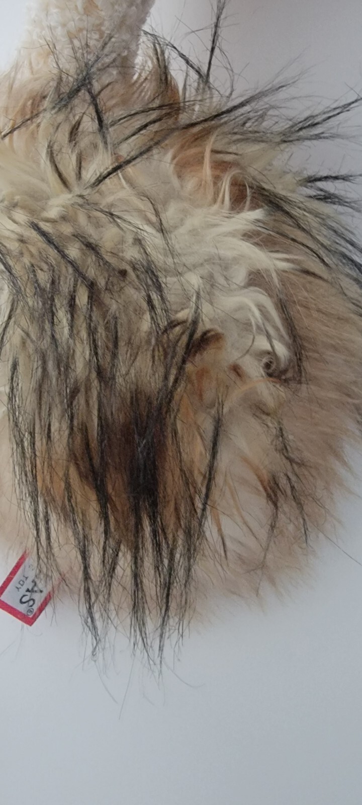 Bild 8 von 12