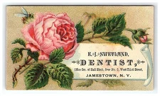 E J Swetland Dentist Trade Victorian Card Calling Jamestown NY Pink Rose