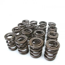 Skunk2 Alpha Series Valve Springs Set for Honda H22 VTEC Engine