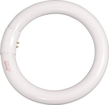 Circolina 22W Lampadina circolare G10q LUCE NATURALE diametro 208mm 1150 lumen
