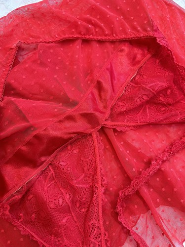 Hanky Panky red Swiss dot mesh halter neck lingerie babydoll size 10 12 14 16 L - Picture 11 of 13