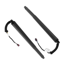2PCS Power Lift Cylinder Struts for Nissan Murano 2015-19 2021 90561-5AA1A R & L
