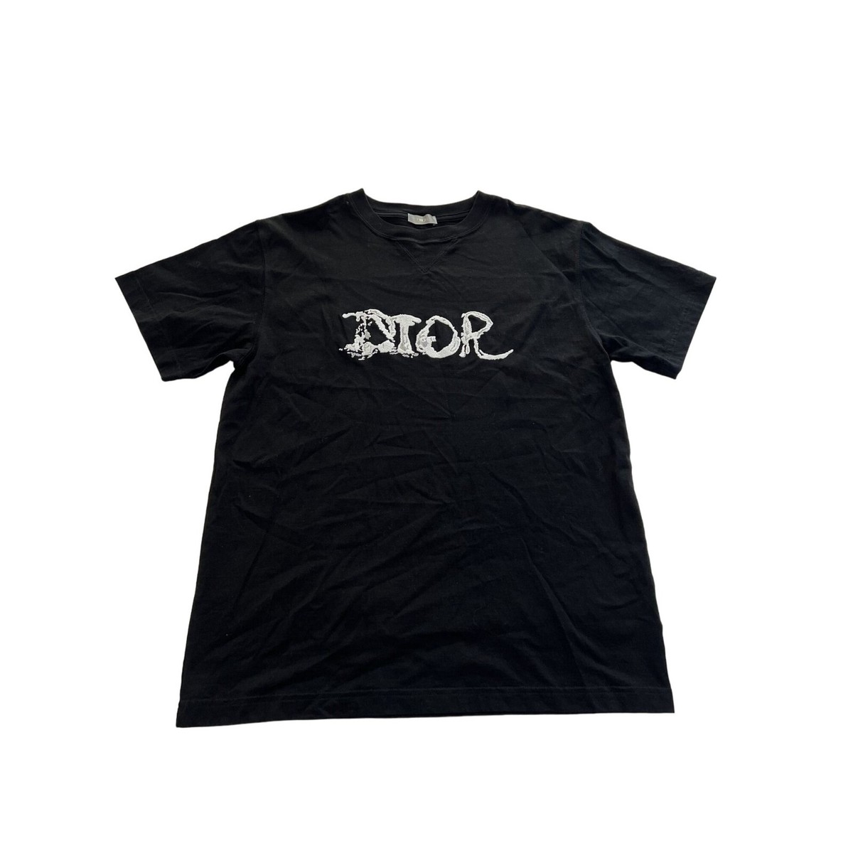 Dior Homme x Peter Doig Oversized Logo T-Shirt in Black | eBay