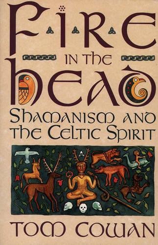 Fire in the Head by Tim Cowan (Paperback Book) - Image 2