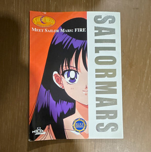 Meet Sailor Moon | eBay