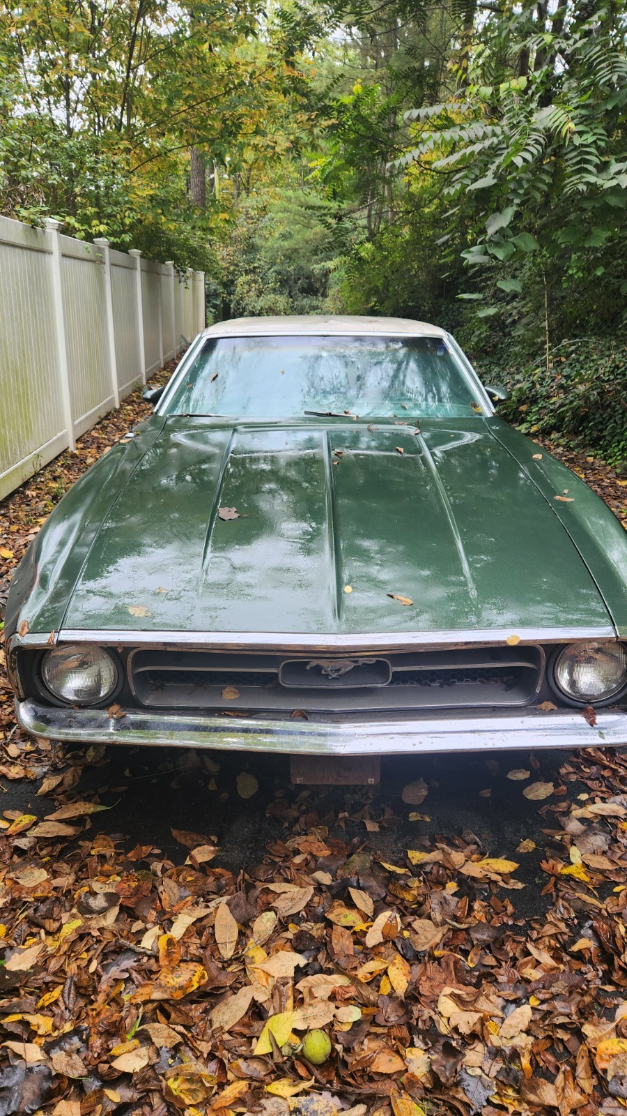 1972 Ford Mustang for sale in Woodbury New York