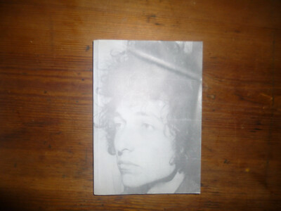 BOB DYLAN Clinton Heylin Rain Unravelled Tales