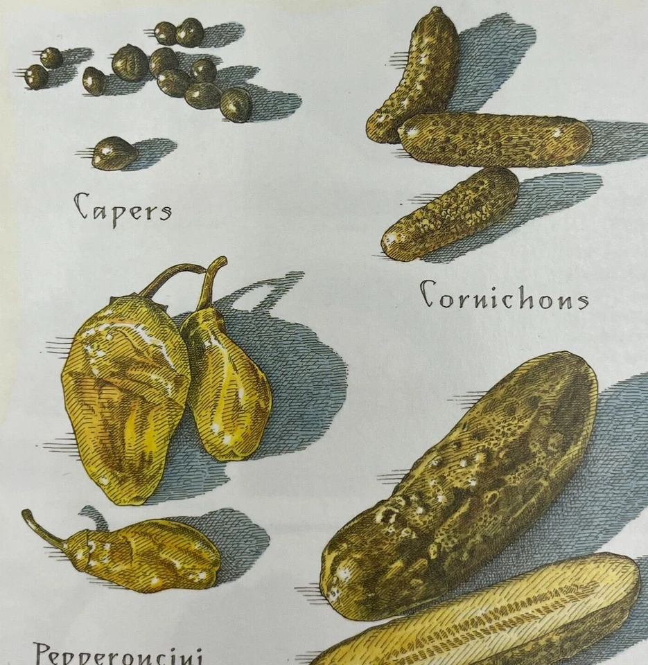 Cooks Illustrated Back Cover Only Kitchen Art John Burgoyne - Pickles Gerkins - Image 3 of 4