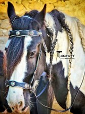 Horse Leather Western Bridle Sidepull Bitless Bridle w Reins Conchos dressage