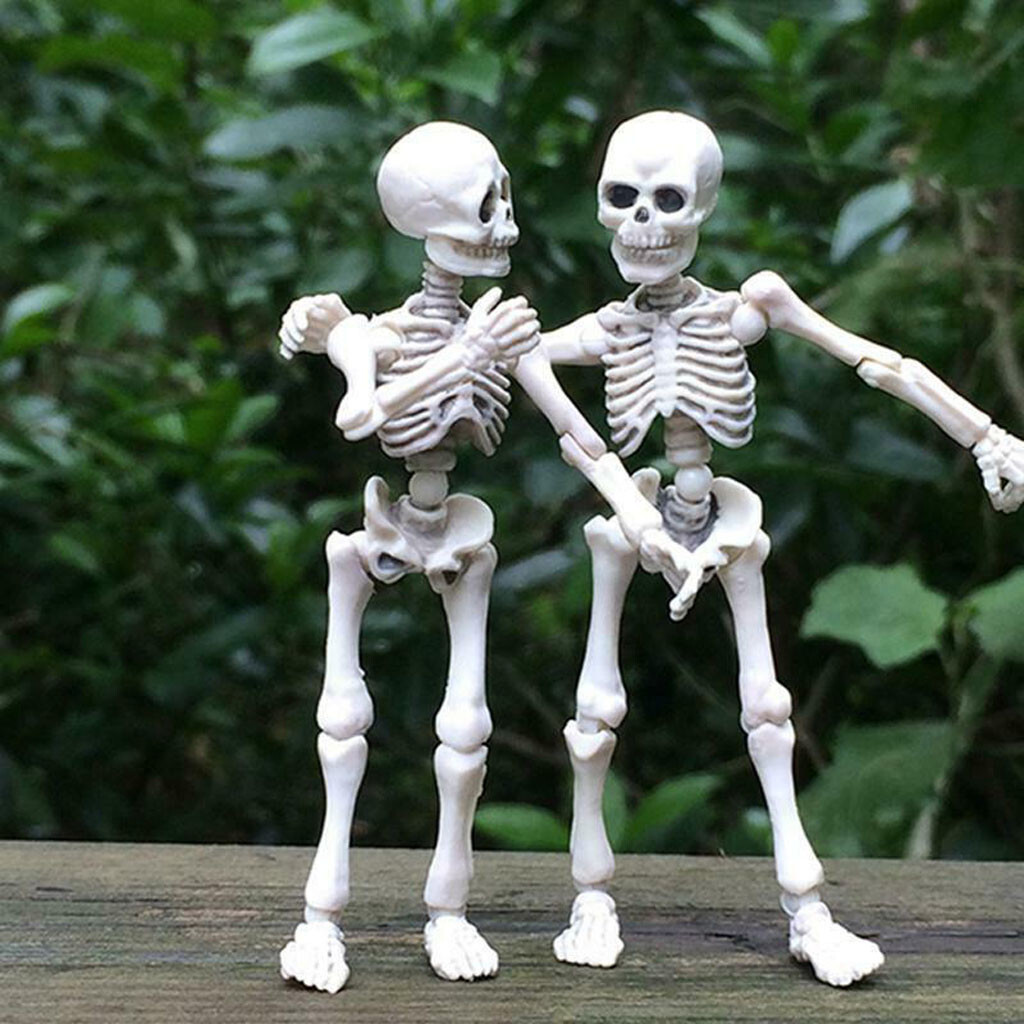 Skeleton L Skeleton Ol Hjelm