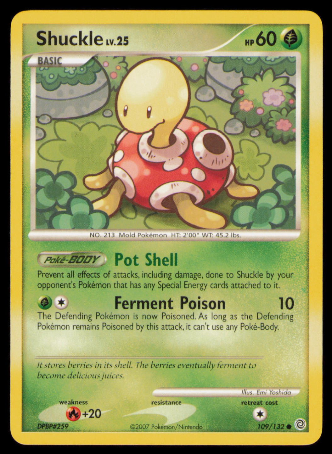 Shuckle 109/132 Common Secret Wonders Pokemon Near Mint