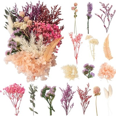 Trockenblumen Bastelset Gemischte Blumen DIY Scrapbooking Dekoration 