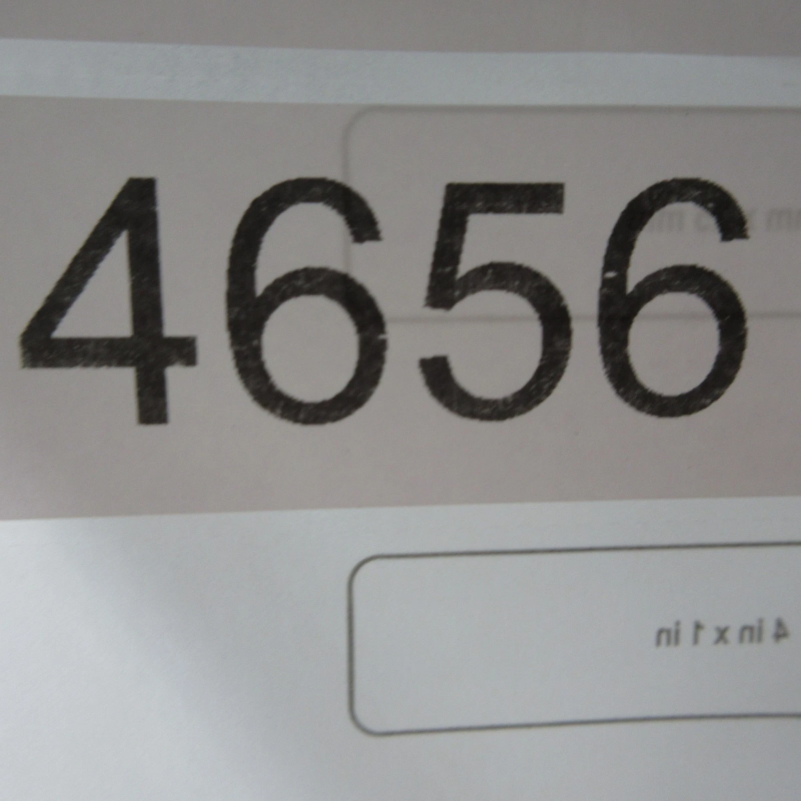 Cintura Coach vintage donna pelle media fibbia ottone massiccio USA guanto conciato anni 90