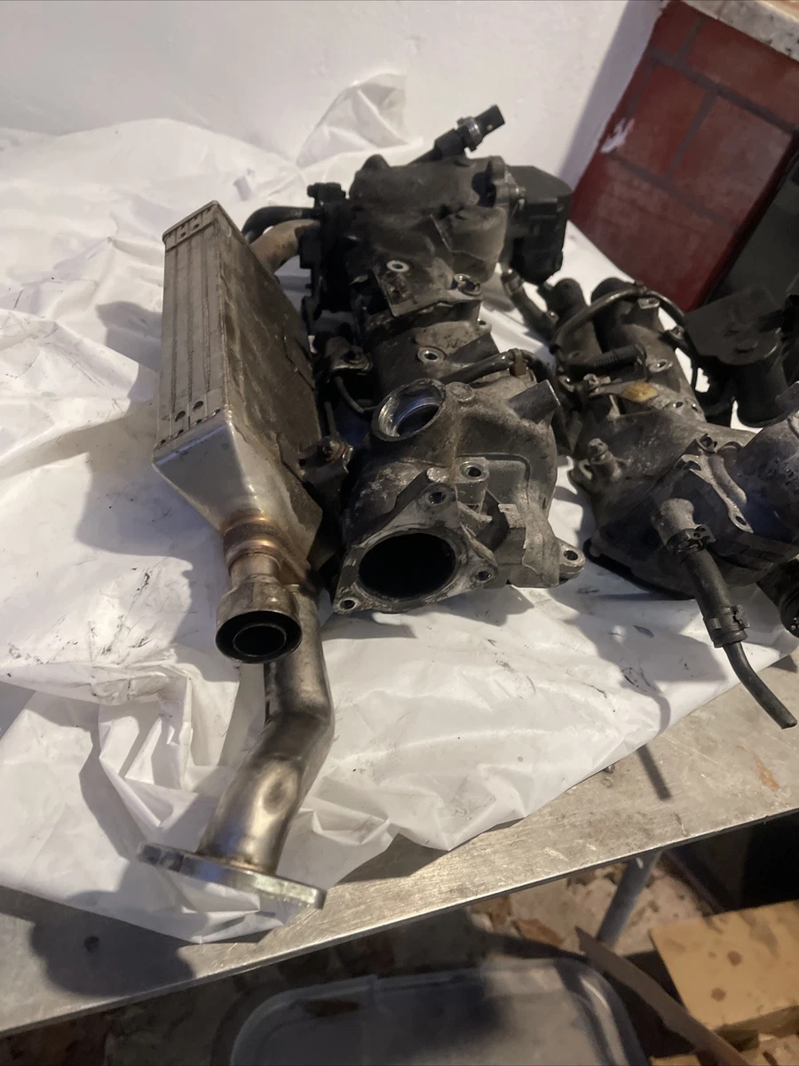 Mercedes OM642 BlueTEC Engine V6 3.0L Set of Left Right Intake  