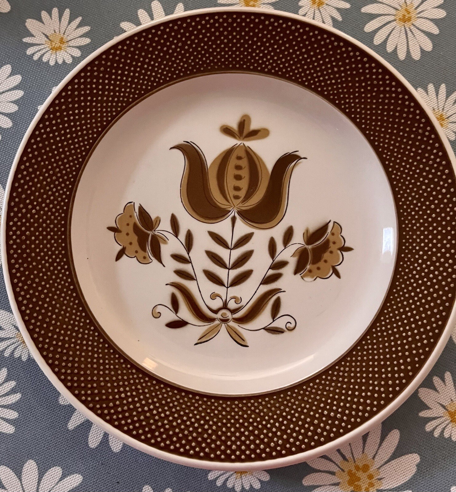 Set Of 4 Dunmore Ironstone Brown Salad Plates Made in Japan eBay