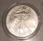 1999 American Eagle Dollar Uncirculated 1 oz .999 Silver, Littleton Pack