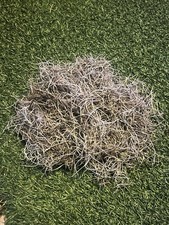 Fresh Florida Live Spanish Moss 1 Gallon size, Air Plant ,Florist, Craft