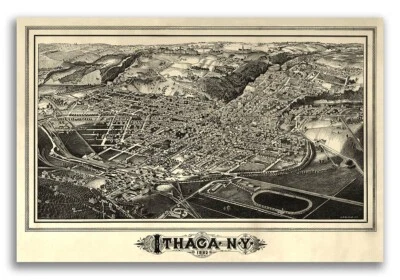 1882 Ithaca New York Vintage Old Panoramic NY City Map - 16x24