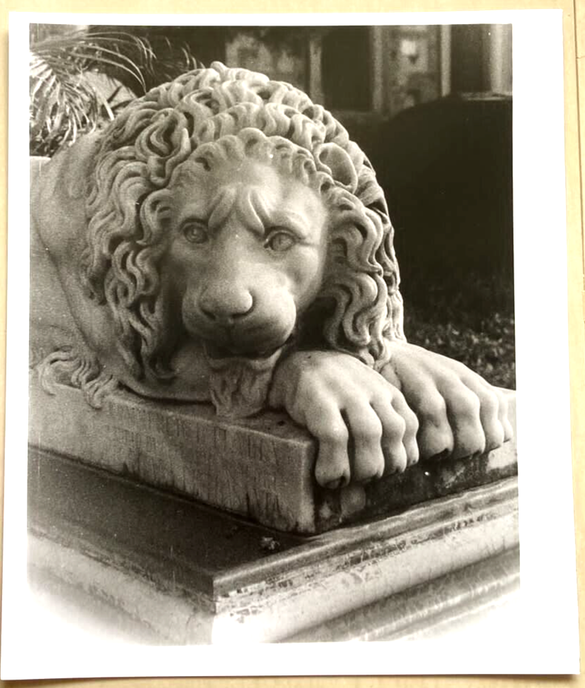 5 Pack XTRA Black & White Photo Paper RC Glossy, High Quality Photo