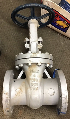 6  Lunkenheimer Flanged Gate Valve Class 300 New F5