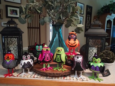 2024 TARGET BIRDS HALLOWEEN COMPLETE SET OF 8 HYDE AND EEK BEST DEAL WITCH MORE