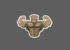 Pitbull Sticker Strong Flex Waterproof Gym Workout Strength Dog Gift NEW