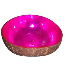 Tozai Home Shimmering Foil Lacquered Coconut ...