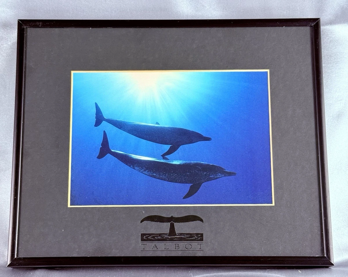 bob talbot products for sale | eBay