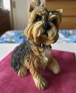 The Leonardo Collection Yorkshire Terrier Figurine Slight Damage See Photos