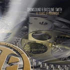 Drumsound & Simon "Bassline" Smith / Tantrum Desire - 10 Years Of Technique P...