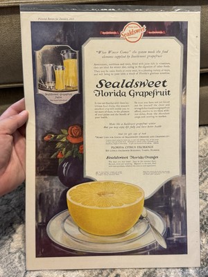 Antique Jan. 1923 Sealdsweet Grapefruit Kitchen Decor Print Ad - 1 Page Journal