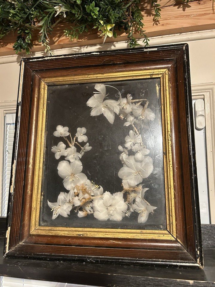 A genuine Victorian mourning wreath made from real feathers, preserved in its original display box — macabre, museum-worthy, and utterly one-of-a-kind.