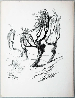 Paul Groß 1873-1942: Kösen 1930 Tuschezeichnung Korbweiden Bäume neu-sachlich - Bild 1 von 4