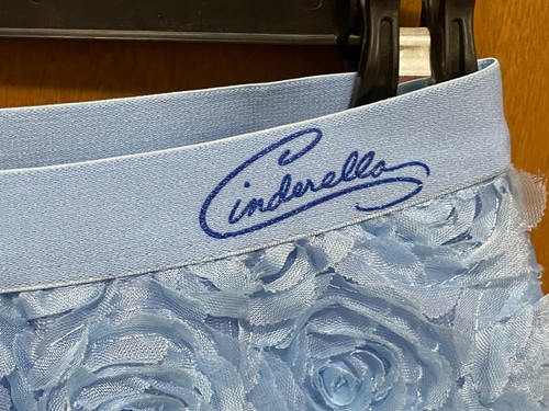 Disney Jumping Beans Cinderella Princess 3D Blue Rose Girls Skirt Size 6 - Picture 2 of 6