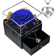 Women Gifts Ideas for Valentines Day, Preserved Forever Rose Gift with Necklace 