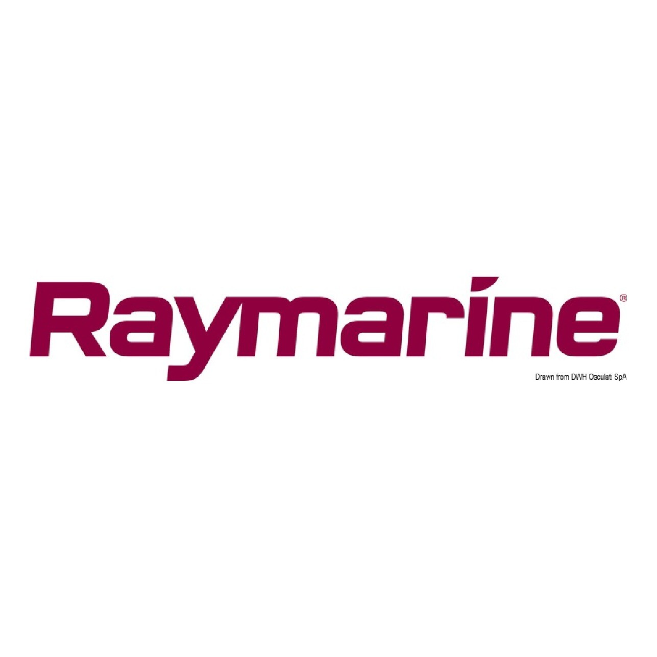 Raymarine Trasduttore E26001-PZ 29.600.17