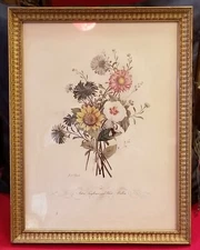 Jean Louis Prevost Hand Colored Print Asters, Sunflower and White Mallow No. 3