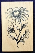 PSX Designs 1991 F-177 Rubber Stamp Whispers of Spring Daisy Wild Flower