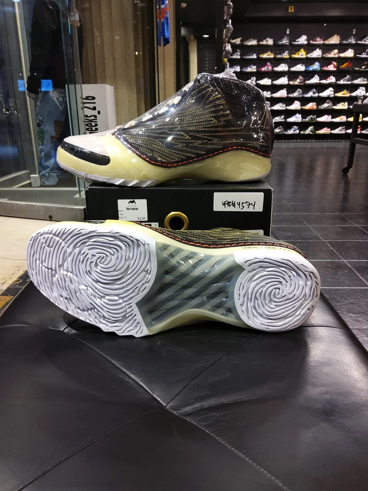 Totalmente Nuevo 100% Auténtico Titan Air Jordan 23 Retro SP 10º Aniversario Talla 12  Foto 4 de 4
