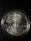 Silver Coin 1 Troy Oz 999 Fine Bullion 2013 American Eagle Walking Liberty